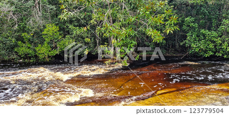 Macaws waterfall in Presidente Figueiredo near Manaus in the amazon region in Brazil Macaws waterfall in Presidente Figueiredo near Manaus in the amazon region in Brazil 123779504