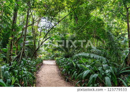 Museum Emilio Goeldi at Belem, Brazil. A Research Institute and Museum with Fauna and Flora from Brazilian Amazon 123779533
