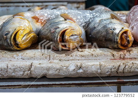 Fish and food market, Mercado Municipal at Soure in the Marajo Island at Para, Brazil Fish and food market, Mercado Municipal at Soure in the Marajo Island at Para, Brazil 123779552