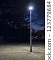 Park lit by street lights 123779684