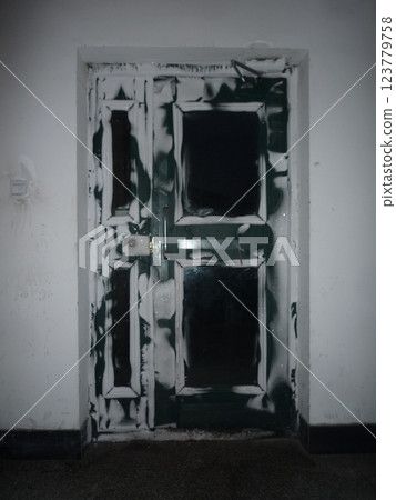 Frozen Door 123779758