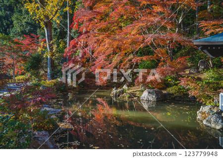 袋井市（靜岡縣）寶田山尊永寺的豊豊藥師堂被紅葉環繞的風景 123779948