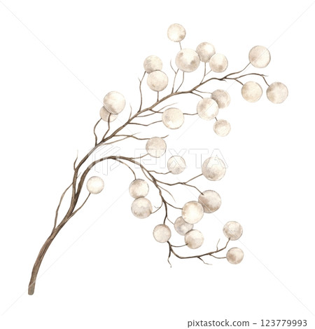 Dried decorative branch with white berries. Isolated botanical watercolor illustration in vintage style on isolated background. Drawing for interior, poster, cards, wedding design, floral compositions 123779993