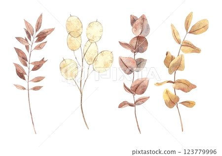 Dried flowers of lagurus, red and yellow eucalyptus and other branches. Botanical watercolor set in vintage style drawn by hand. Flowers for interior, poster, card, wedding design, floral arrangements 123779996