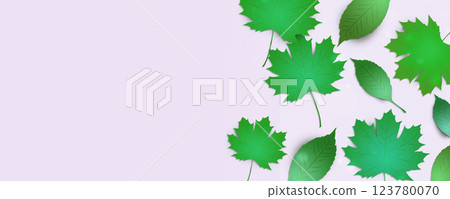 green spring leaves colour banner green spring leaves colour banner 123780070