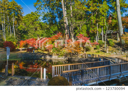 A view of the Hojo Pond at Kasui-sai Temple in Fukuroi City, Shizuoka Prefecture, colored by autumn leaves A view of the Hojo Pond at Kasui-sai Temple in Fukuroi City, Shizuoka Prefecture, colored by autumn leaves 123780094
