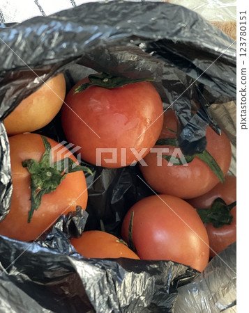 "Fresh Tomatoes: A Juicy and Versatile Ingredient" 123780151