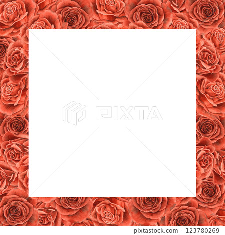 Red bright velvet big rosebuds. Watercolor realistic square frame with square center with place for text. Suitable for banners, invitations, packaging, wedding design, Valentine's Day, anniversary 123780269
