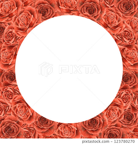 Red bright velvet big rosebuds. Watercolor realistic square frame with round center and place for text. Suitable for banners, invitations, packaging, wedding design, Valentine's Day, anniversary 123780270