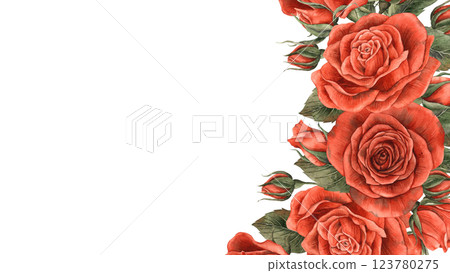 Roses of bright red velvet color with buds and green leaves. Watercolor frame of flowers, located on the right side. Suitable for decoration of floristry design, Valentine's Day, Weddings, Birthdays 123780275