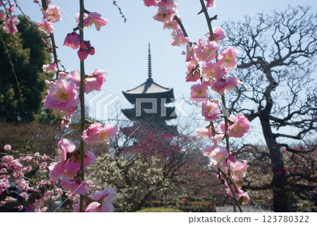 京都Toji的李子 京都Toji的李子 123780322