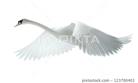 Swan flies gracefully from the side, showcasing its elegance against a white background 123780401