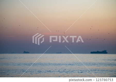 日出時的沿海鳥居和令人印象深刻的岩層 123780753