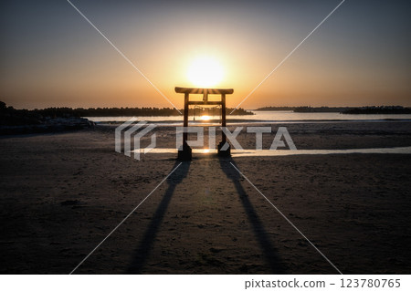Coastal torii gate and impressive rock formations at sunrise 123780765