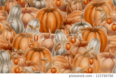 Autumn paved pattern of orange and gray pumpkins with branches of pisalis as symbols of fall harvest, pumpkin festival. Watercolor illustrations are hand drawn,pattern for kitchen textiles,packaging Autumn paved pattern of orange and gray pumpkins with branches of pisalis as symbols of fall harvest, pumpkin festival. Watercolor illustrations are hand drawn,pattern for kitchen textiles,packaging 123780786