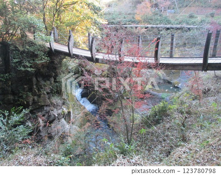 橫跨熊本縣阿蘇郡小國町下城的下城瀑布與鍋釜瀑布流淌的溪流的吊橋 橫跨熊本縣阿蘇郡小國町下城的下城瀑布與鍋釜瀑布流淌的溪流的吊橋 123780798