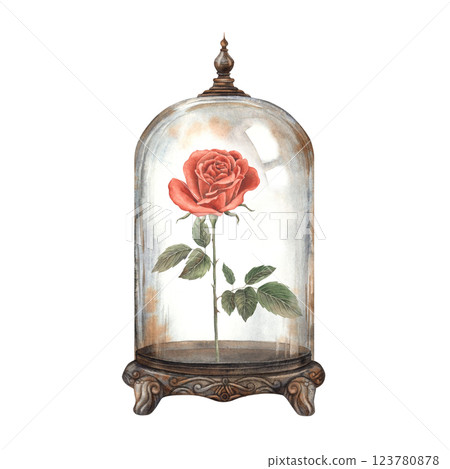 Vintage glass dome decorated with vintage pattern, red rose growing inside. Watercolor illustration for decoration and design for wedding, Valentine's Day, Halloween, vintage projects and fairy tales 123780878