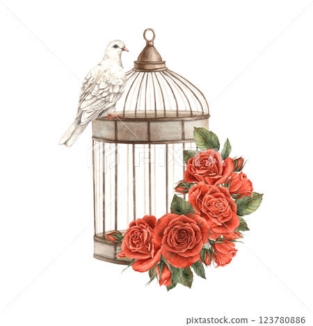 Vintage bird cage with bouquets of bright red roses and realistic white dove. Watercolor hand-drawn illustration in vintage style, for Valentine's Day, wedding, anniversary, invitations and cards Vintage bird cage with bouquets of bright red roses and realistic white dove. Watercolor hand-drawn illustration in vintage style, for Valentine's Day, wedding, anniversary, invitations and cards 123780886