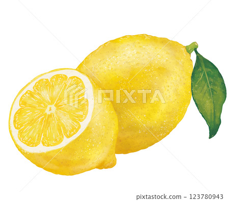 Realistic illustration of one lemon with leaves and half cut 123780943