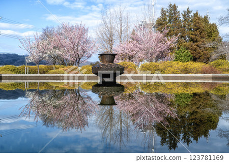 茨城縣日立市上峰公園，紅色冬櫻與飛翔採蜜的野鳥 123781169