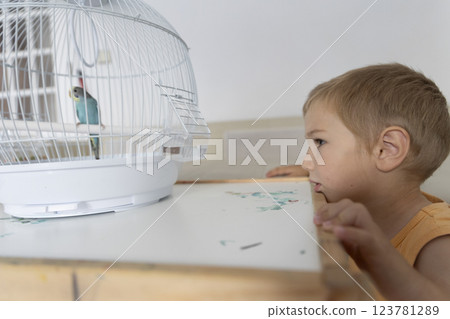 Curious child observing a small parrot in a cage Curious child observing a small parrot in a cage 123781289