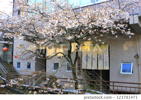 Kin no Yu (Yuhira Onsen, Yufu City) Kin no Yu (Yuhira Onsen, Yufu City) 123781471