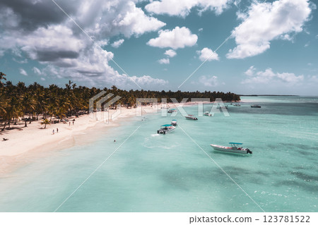 Tropical Caribbean beach from above, Dominican Republic Tropical Caribbean beach from above, Dominican Republic 123781522