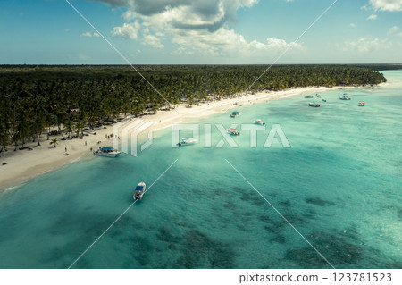 Tropical Caribbean beach from above, Dominican Republic 123781523