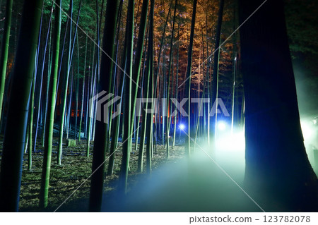 Romantic Ibaraki (The harmony of light and sea of clouds in the Moso Bamboo Forest at Kairakuen in Mito. You will be invited into a mysterious world.) Romantic Ibaraki (The harmony of light and sea of clouds in the Moso Bamboo Forest at Kairakuen in Mito. You will be invited into a mysterious world.) 123782078