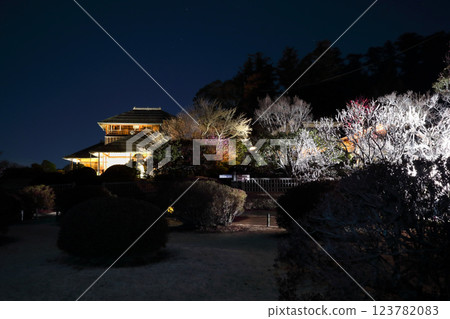 Romantic Ibaraki (Kohbuntei in Mito's Kairakuen, named after the legend that plum blossoms bloom when you study hard, shines in the dark night.) 123782083