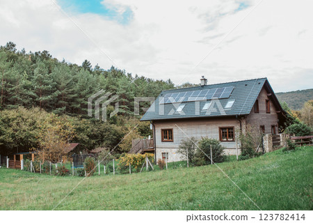 House with solar panels on roof. 123782414