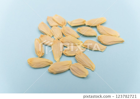 Pomelo seeds 123782721