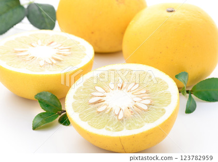 Tosa pomelo (white background) Tosa pomelo (white background) 123782959