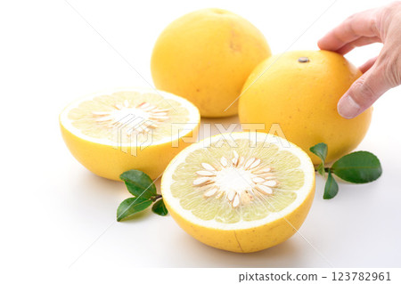 Tosa pomelo (white background) Tosa pomelo (white background) 123782961