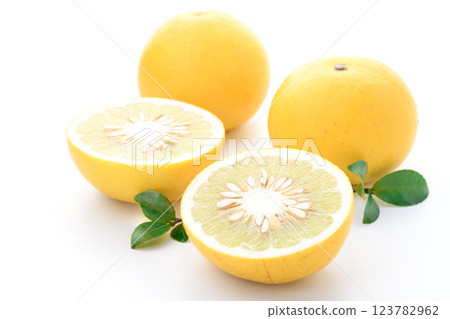Tosa pomelo (white background) Tosa pomelo (white background) 123782962
