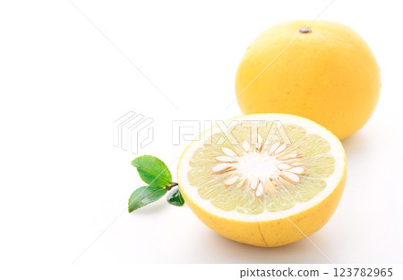 Tosa pomelo (white background) Tosa pomelo (white background) 123782965