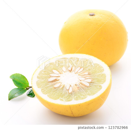 Tosa pomelo (white background) 123782966