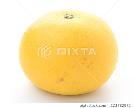 Tosa pomelo (white background) 123782972