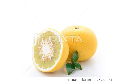 Tosa pomelo (white background) 123782974