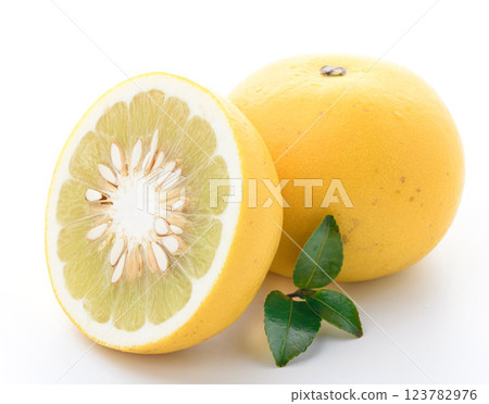Tosa pomelo (white background) 123782976