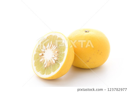 Tosa pomelo (white background) 123782977