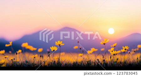 dreamy canola flower field stretching endlessly under warm sunset glow 123783045