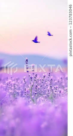 dreamy lavender field with soft purple hues and two birds flying under pastel sky dreamy lavender field with soft purple hues and two birds flying under pastel sky 123783046