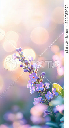 delicate lilac flower bathed in warm sunlight with dreamy bokeh background 123783073