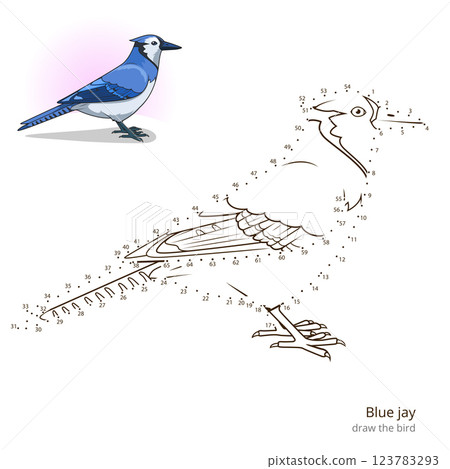 Blue jay bird learn to draw vector 123783293