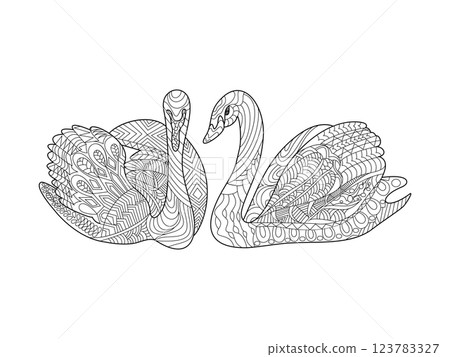 Swans coloring book for adults vector Swans coloring book for adults vector 123783327