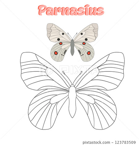 Educational game coloring book butterfly vector Educational game coloring book butterfly vector 123783509