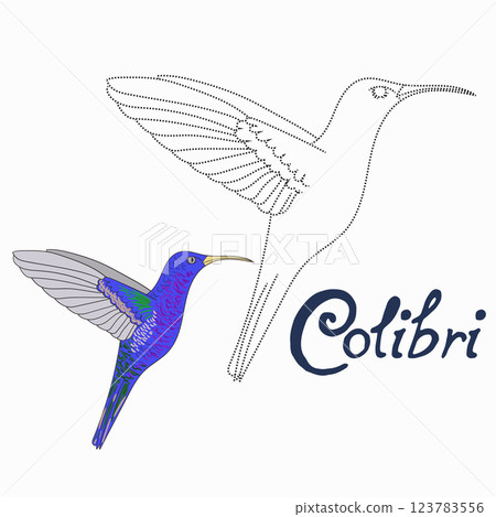 Educational game connect dots to draw colibri bird 123783556