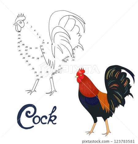 Educational game connect dots draw rooster bird Educational game connect dots draw rooster bird 123783581