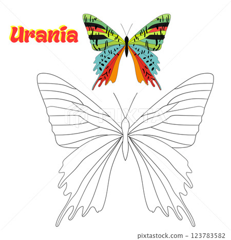 Educational game coloring book butterfly vector 123783582